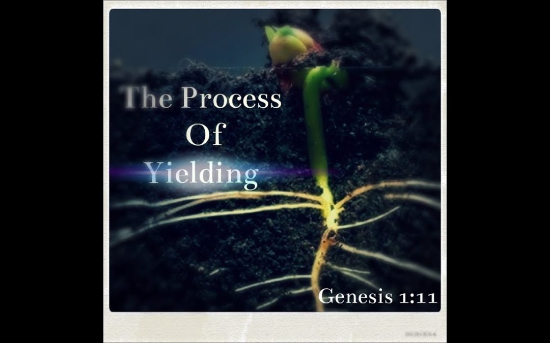 The Process of Yielding